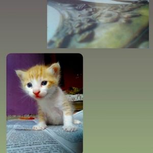 So cute baby